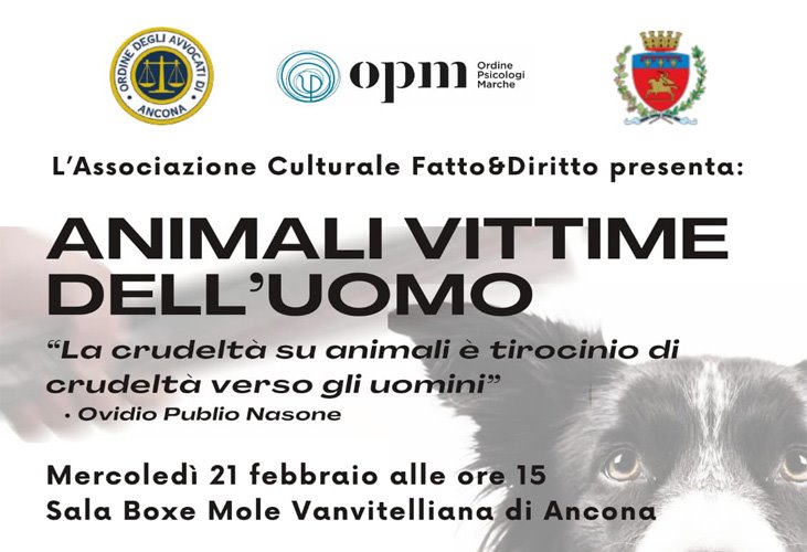 incontro-violenza-animali-21-febbraio.jpg