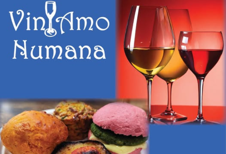 viniamonumana2025.png