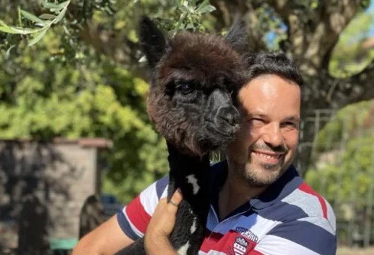 alpaca-rdctv.jpg