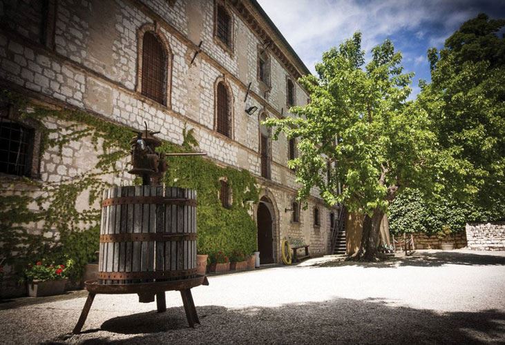 10-fattoria-le-terrazze-tenuta.jpg