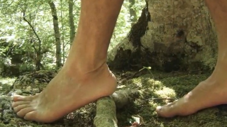 ecofestival-video.jpg